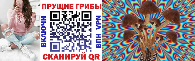 Псилоцибиновые грибы мицелий  закладка  Хвалынск 